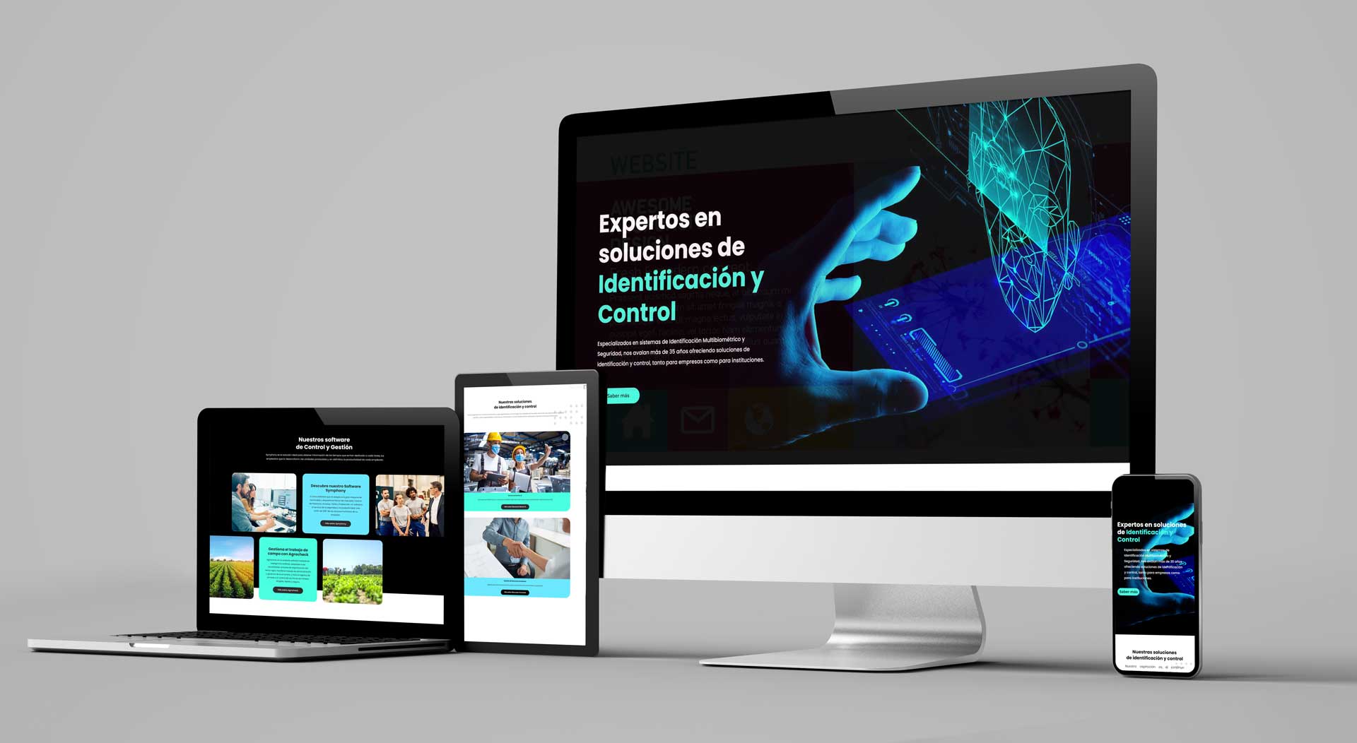 Optimización y Adaptabilidad: Claves del Diseño Web Responsive