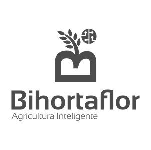 Logotipo cliente de Epic Creativos